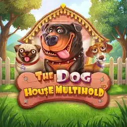 The Dog House Multihold game at Jackpot Jill Casino for Australia players The Dog House Multihold game at Jackpot Jill Casino for Australia players